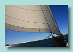 96_Love The New Jib